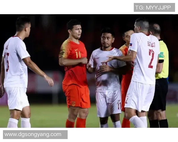 费内巴切与萨基利历史交锋战绩分析及近期表现对比